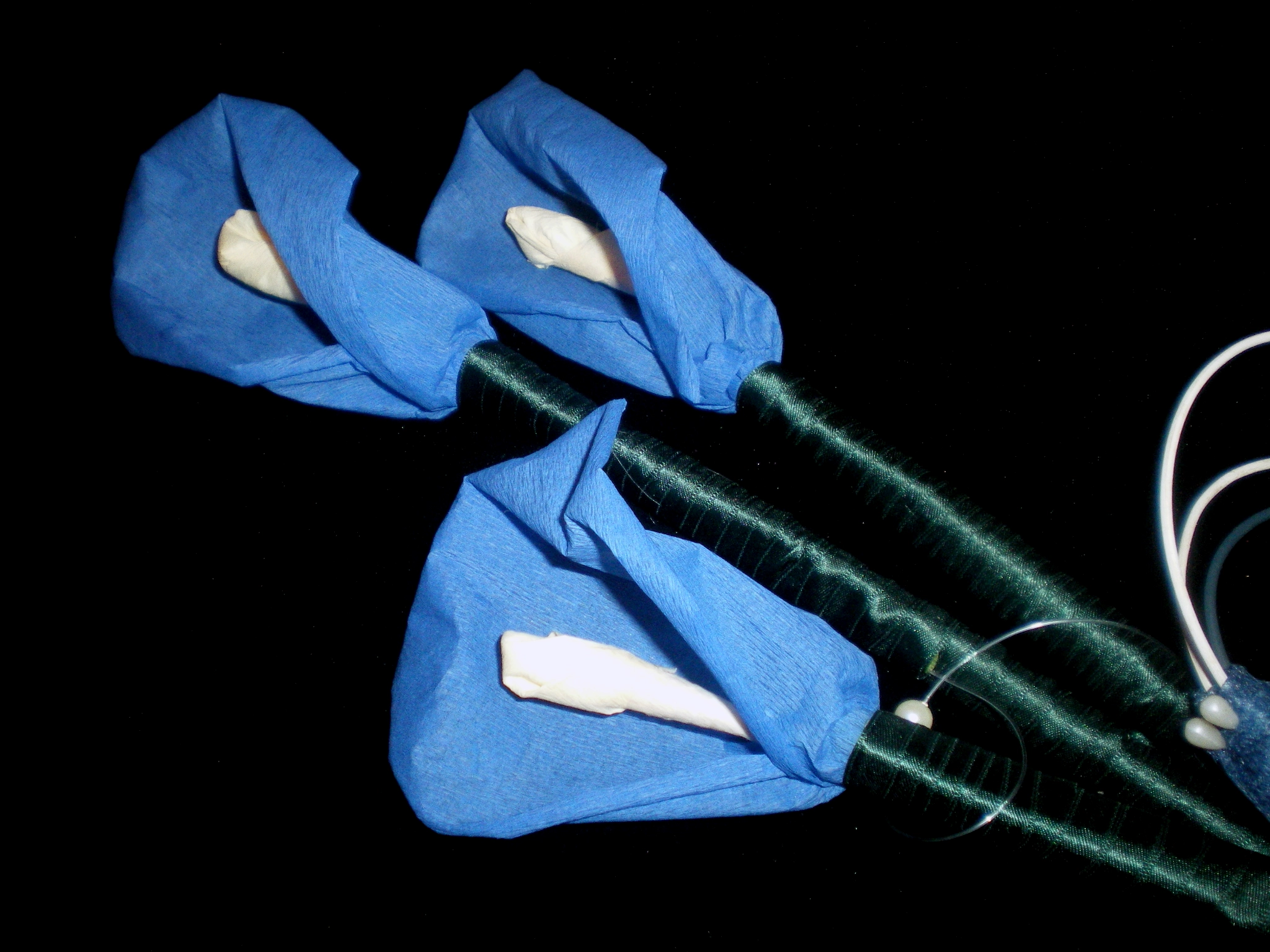 Calas Blue 2 Calas