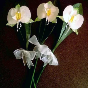Ramo de orquideas